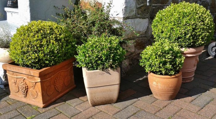 modern patio decor - plant pots